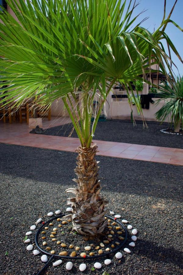 The Wind'S Breath, Perfect For Relaxing Getaway Villa La Oliva Eksteriør billede